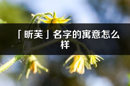 「昕芙」名字的寓意怎么样_昕芙的出处