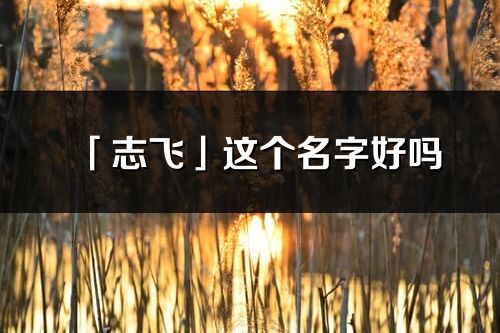 「志飞」这个名字好吗_志飞名字寓意,含义