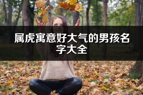 属虎寓意好大气的男孩名字大全