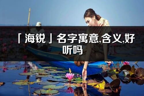 「海锐」名字寓意,含义,好听吗_海锐名字分析打分