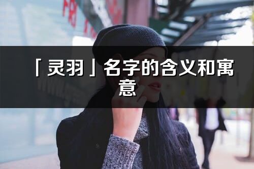 「灵羽」名字的含义和寓意_灵羽的出处与意思解释