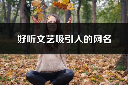好听文艺吸引人的网名