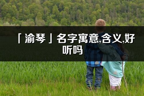 「渝琴」名字寓意,含义,好听吗_渝琴名字取名打分