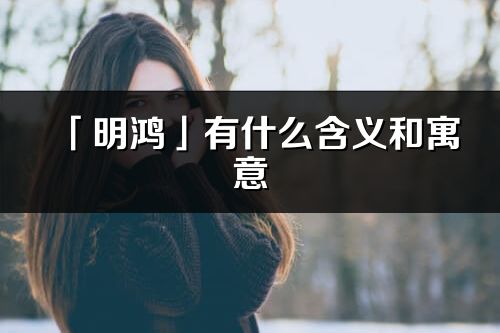 「明鸿」有什么含义和寓意_明鸿名字的出处与意思