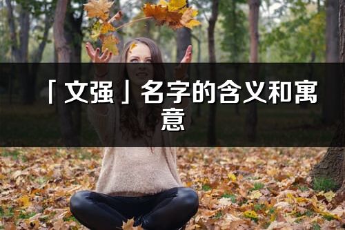 「文强」名字的含义和寓意_文强的出处与意思解释