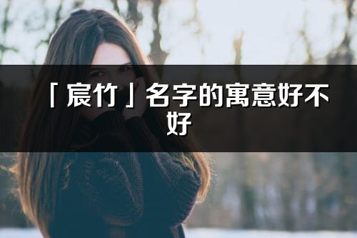 「宸竹」名字的寓意好不好_宸竹含义分析