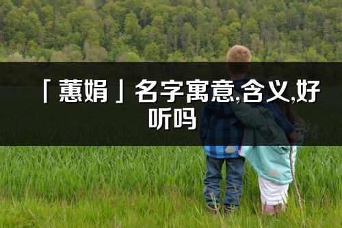 「蕙娟」名字寓意,含义,好听吗_蕙娟名字分析打分