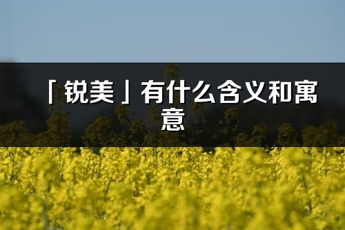 「锐美」有什么含义和寓意_锐美名字的出处与意思