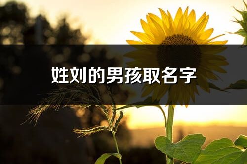 姓刘的男孩取名字