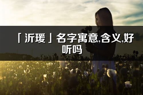 「沂瑗」名字寓意,含义,好听吗_沂瑗名字分析打分