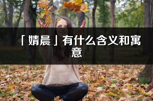 「婧晨」有什么含义和寓意_婧晨名字的出处与意思