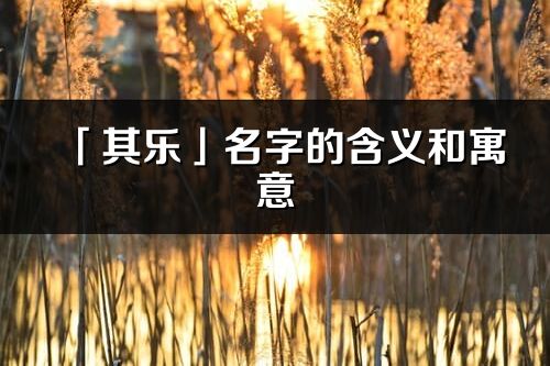 「其乐」名字的含义和寓意_其乐的出处与意思解释