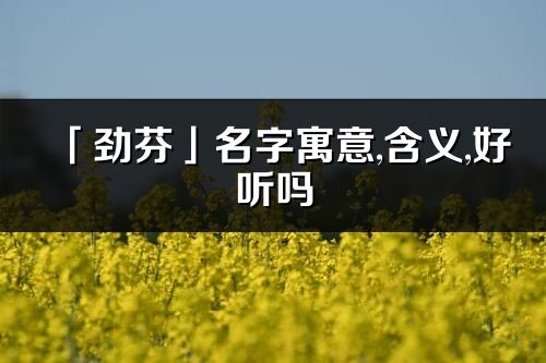 「劲芬」名字寓意,含义,好听吗_劲芬名字分析打分