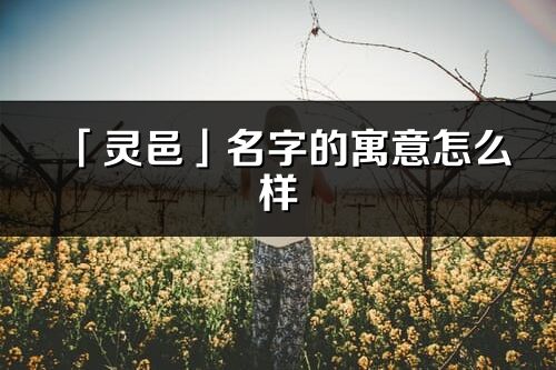 「灵邑」名字的寓意怎么样_灵邑的出处