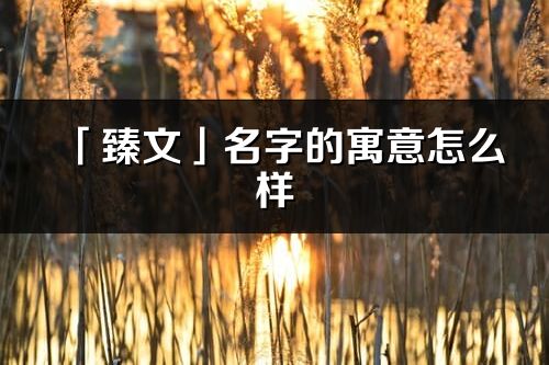 「臻文」名字的寓意怎么样_臻文的出处