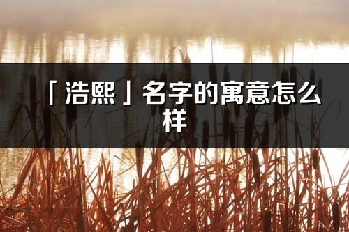 「浩熙」名字的寓意怎么样_浩熙的出处