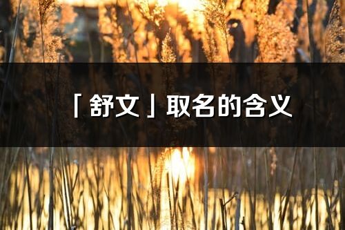 「舒文」取名的含义_舒文名字寓意解释