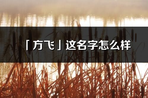 「方飞」这名字怎么样_方飞的名字解释