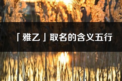 「雅乙」取名的含义五行_雅乙名字寓意解释