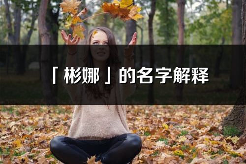 「彬娜」的名字解释_彬娜含义分析