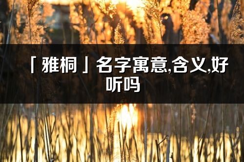 「雅桐」名字寓意,含义,好听吗_雅桐名字分析打分