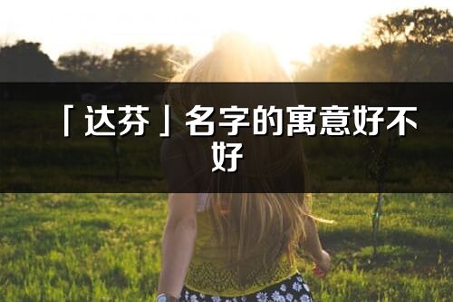 「达芬」名字的寓意好不好_达芬含义分析