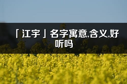 「江宇」名字寓意,含义,好听吗_江宇名字分析打分