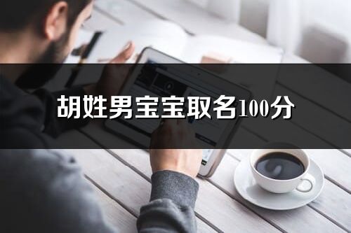 胡姓男宝宝取名100分