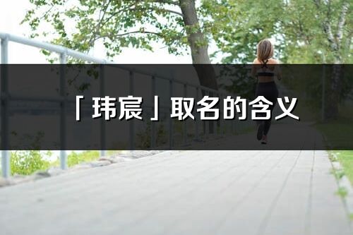 「玮宸」取名的含义_玮宸名字寓意