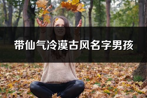 带仙气冷漠古风名字男孩
