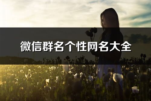 微信群名个性网名大全(精选392个)