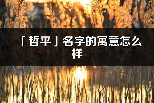 「哲平」名字的寓意怎么样_哲平的出处