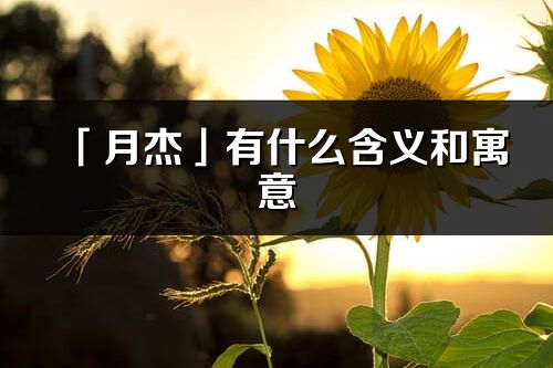 「月杰」有什么含义和寓意_月杰名字的出处与意思