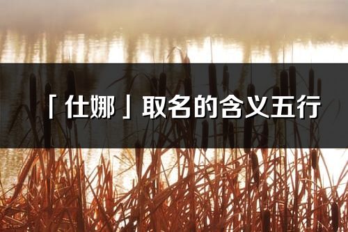 「仕娜」取名的含义五行_仕娜名字寓意解释