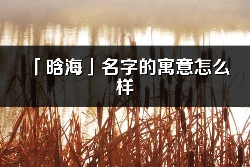 「晗海」名字的寓意怎么样_晗海的出处