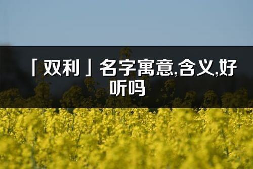 「双利」名字寓意,含义,好听吗_双利名字分析打分