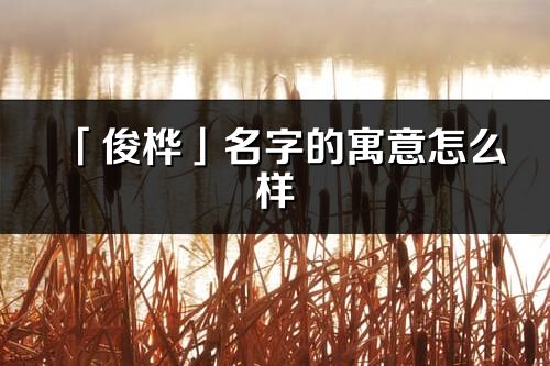 「俊桦」名字的寓意怎么样_俊桦的出处