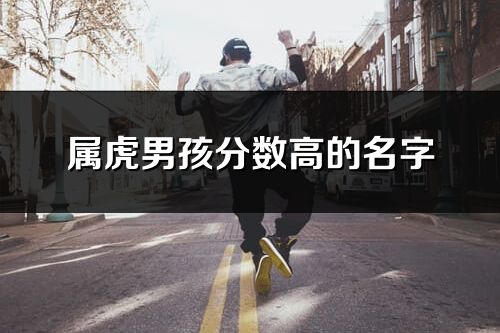 属虎男孩分数高的名字