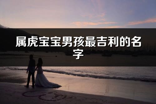 属虎宝宝男孩最吉利的名字