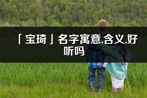 「宝琦」名字寓意,含义,好听吗_宝琦名字分析打分