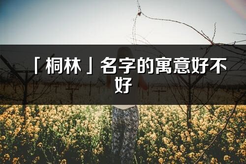 「桐林」名字的寓意好不好_桐林含义分析