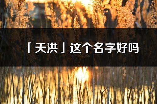 「天洪」这个名字好吗_天洪名字寓意,含义