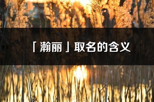 「瀚丽」取名的含义_瀚丽名字寓意解释