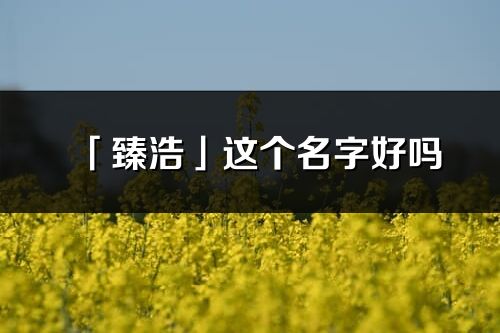 「臻浩」这个名字好吗_臻浩名字寓意,含义