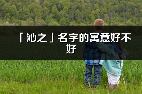 「沁之」名字的寓意好不好_沁之含义分析
