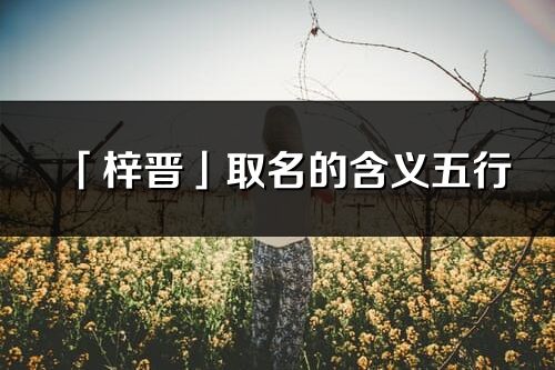 「梓晋」取名的含义五行_梓晋名字寓意解释