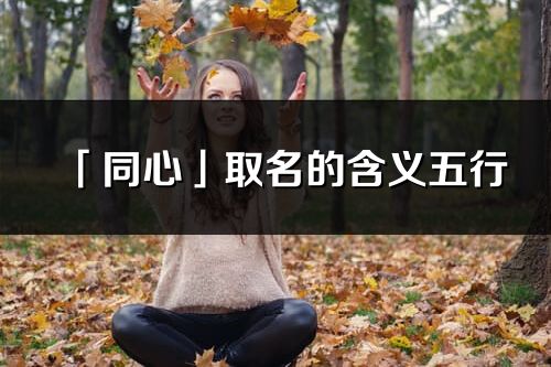 「同心」取名的含义五行_同心名字寓意解释