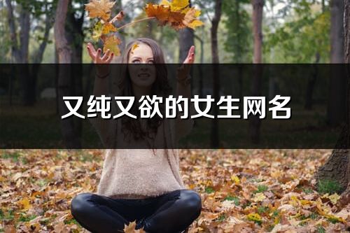 又纯又欲的女生网名