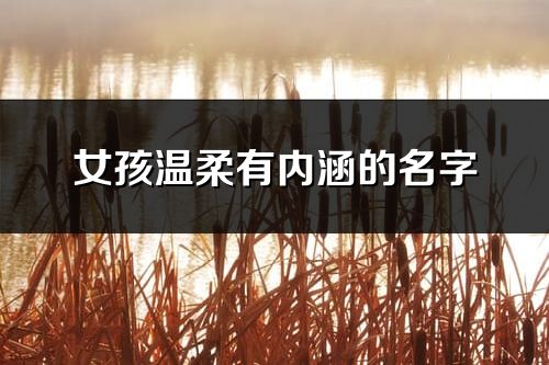 女孩温柔有内涵的名字