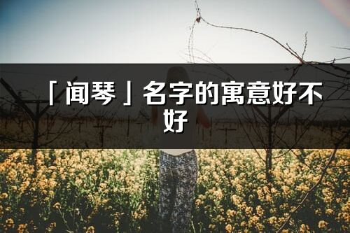 「闻琴」名字的寓意好不好_闻琴含义分析